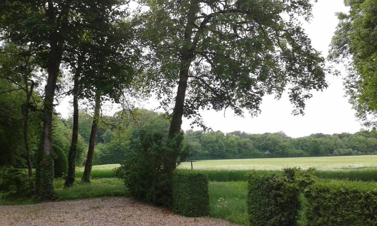 Le Château de BRESSEY&son Orangerie Exterior foto